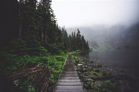 Wallpaper Sunlight Forest Lake Water Nature Road Morning Mist