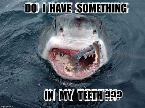 Jaws Quint Memes