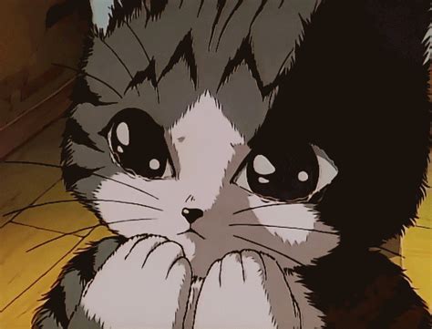 Share 64 Anime Cat Meme Induhocakina