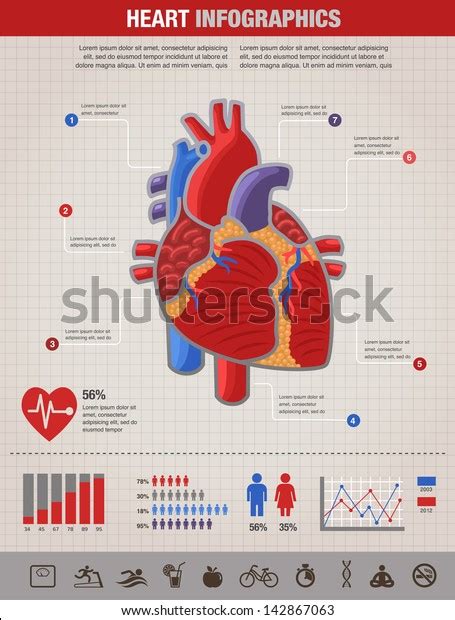 Human Heart Health Disease Attack Infographic Stock Vector Royalty