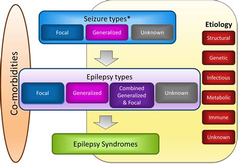 Ilae Classification Of The Epilepsies Position Paper Of The Ilae
