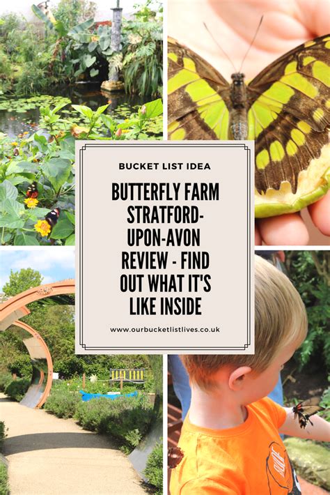 Stratford Butterfly Farm Where To Go With Kids Warwickshire