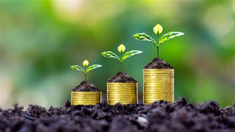 A Frugal Lifestyle: Making Your Money Go Further