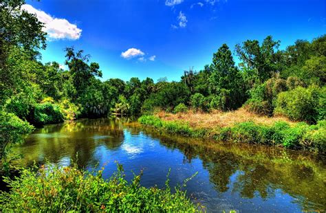 Green Trees Near River Nature Photography Nature River Colorful