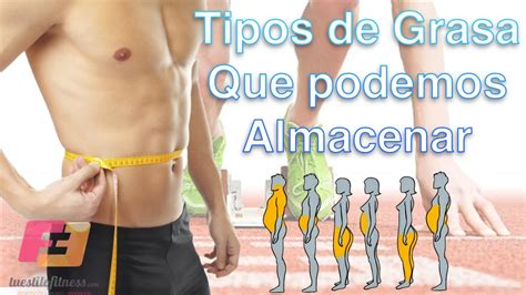 Tipos De Grasa Que Podemos Almacenar En Nuestro Cuerpo Youtube