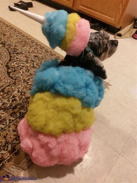Cotton Candy Dog Costume Photo 77