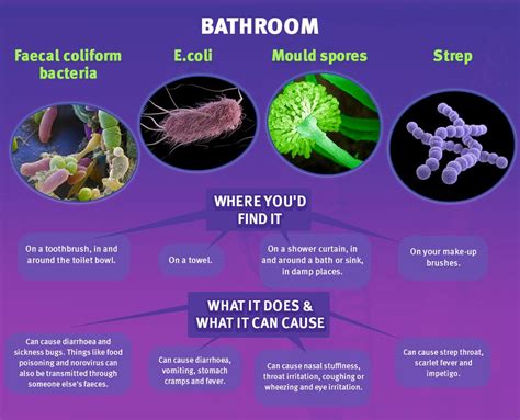 Common Household Germs And Bacteria Hidden Germs Lurking In Your Home