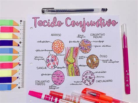 Tecido Conjuntivo Mapa Mental Histologia I Images