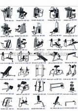 Fitness Exercises Names Images