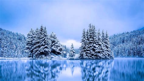 1920x1080 Nature Lake Reflection Tree Forest Winter Wallpaper 