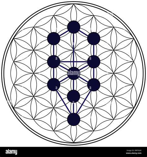 Geometry Kabbalah Tree Of Life Alchemy Jewish Hebrew Numerology