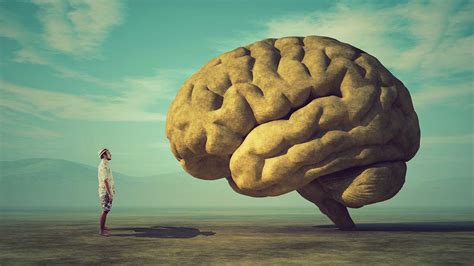 Psychology Brain HD Wallpapers - Top Free Psychology Brain HD ...