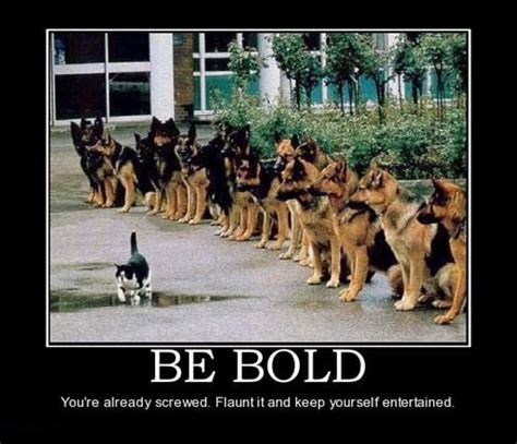 25 Funny Dog And Cat Demotivational Signs Dogtime