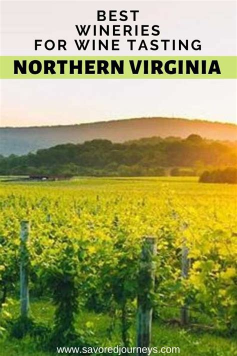 Best Wineries For Wine Tasting In Northern Virginia Virginia Wine