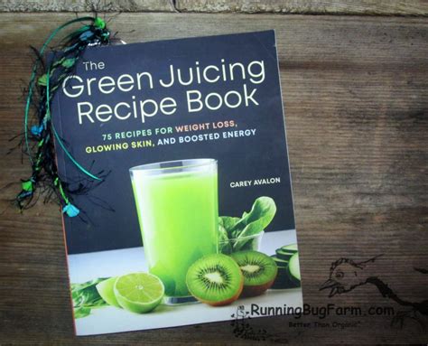 Juicing Recipe Books For Weight Loss Dandk Organizer
