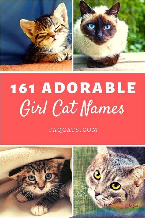 The Name You Give To Your Female Tabby Cat Should Say A Lot About Them