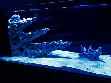 Red Sea Peninsula 500 Reef Tank Aquascapes Custom Built By Randr