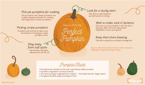 How To Pick The Perfect Pumpkin Inside Science