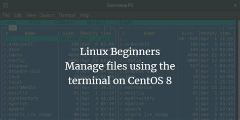 Linux Beginners Manage Files Using The Terminal On Centos 8 Vitux