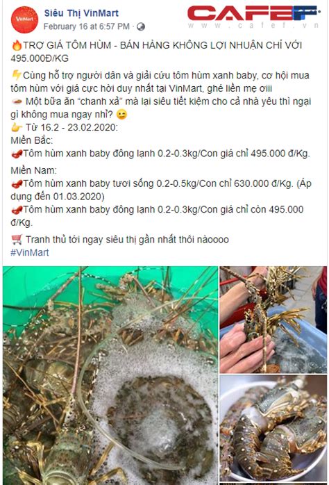 Jul 02, 2021 · trong lúc này, nhiều siêu thị, cửa hàng vinmart, vinmart+ vẫn hoạt động bình thường, thực hiện 5k và ổn định nguồn cung, giá cả hàng hóa, vị này cho biết. Giải cứu tôm hùm giá 495.000 đồng/kg: 2 ngày Vinmart tiêu ...