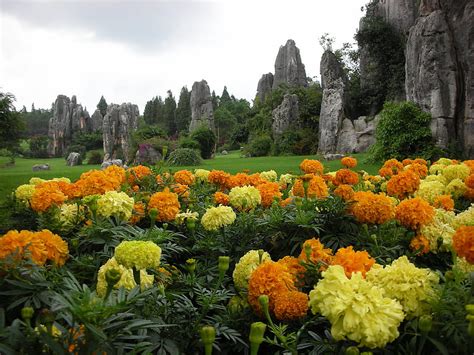 Chinas Mythical Shilin Stone Forest I Like To Waste My Time Chinese