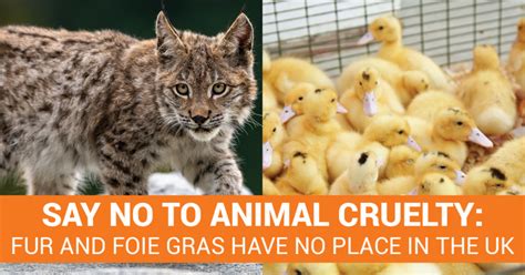 Sign The Petition Tell The Government To Go Ahead With A Ban On The Import Of Fur And Foie Gras