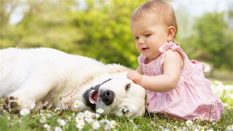 Cute Girl Playing With Dog Cães Bebê Animais Bebês Mais Fofos
