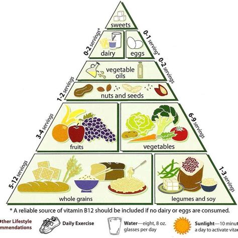 Vegan Food Pyramid Top 7 Amazing Facts To Know