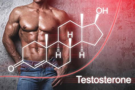 Autoconocimiento Anatom A Qu Es La Testosterona Y Sus Funciones Sexiz Pix