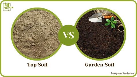 Top Soil Vs Garden Soil Their Composition Differences And Uses