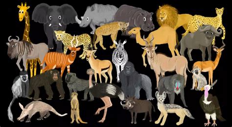 African Animals The Kids Picture Show Highbrow