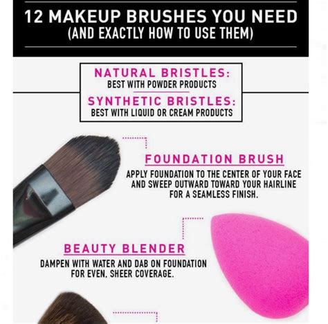12 Makeup Brushes You Need And Exactly How To Use Them Musely