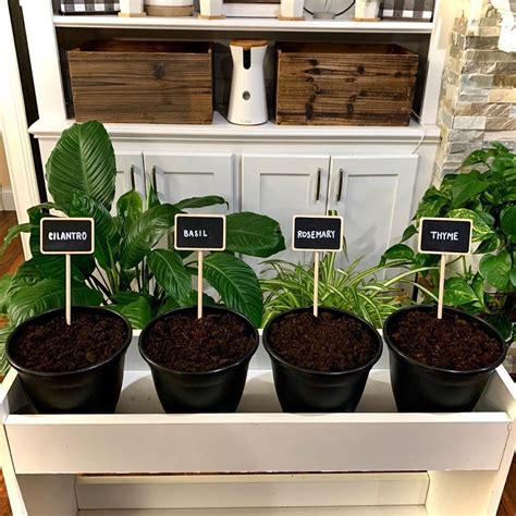 Indoor Herb Gardens On Instagram For The Kitchen Wellgood Indoor