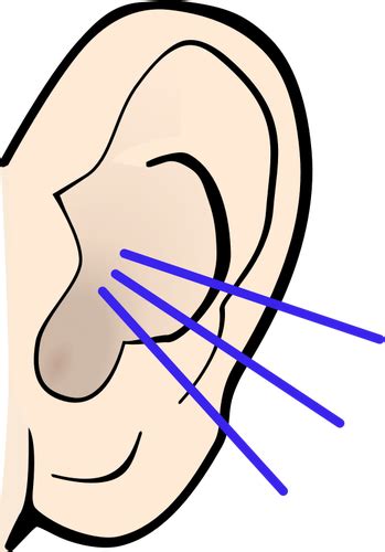 Clipart Ear Listening