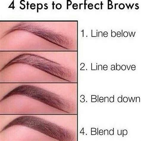 We Are More Than Just A Beauty Brand We Are Everra Perfect Brows Eyebrow Makeup Perfect