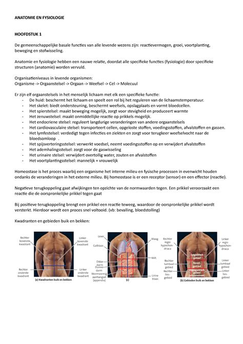 Anatomie En Fysiologie Anatomie En Fysiologie Hoofdstuk 1 De