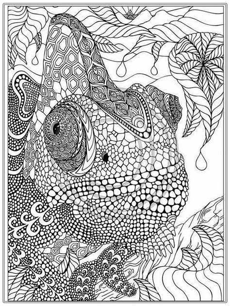 Intricate Coloring Pages For Adults Free Printable