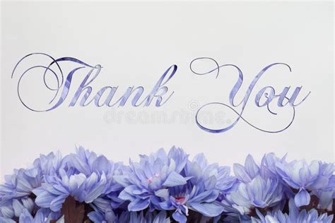 Thank You Flowers Stock Illustrations 9182 Thank You Flowers Stock
