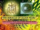 The Miracle of Allah Pearl