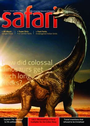 Safari Magazine Old Issues Vvtiol