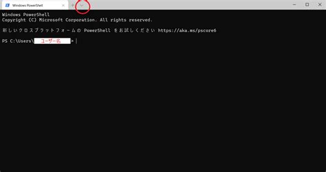 Windows Terminal に Anaconda Promptを入れる すしりんぐblog