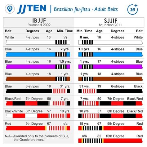 A Beginners Guide To Brazilian Jiu Jitsu Belt And Ranking System
