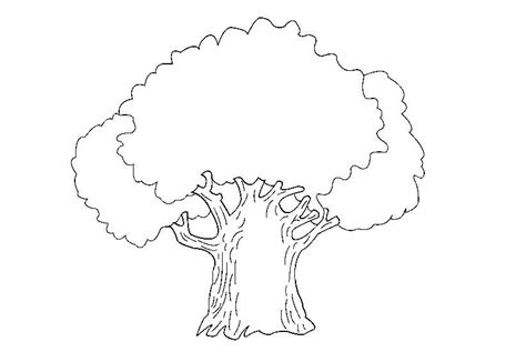 Rysunek Obraz Kolorowanka Drzewo Rysunek Dla Dzieci