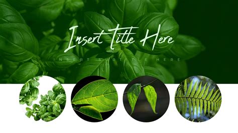 Botanical Powerpoint Templates For Presentation