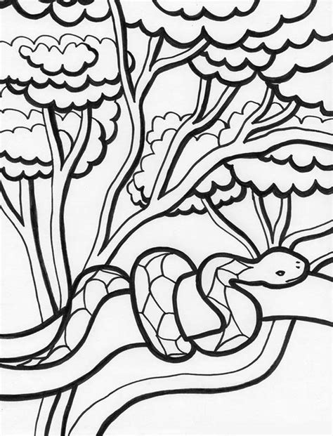 Rainforest Snake On Tree Coloring Page Download And Print Online