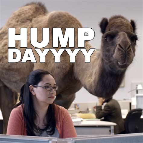 Hump Day Camel Pictures Photos And Images For Facebook Tumblr Pinterest And Twitter