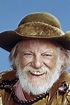 Denver Pyle — The Movie Database (TMDB)