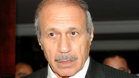 Egypt Sentences Ex Interior Minister Adly To 7 Years The Guardian