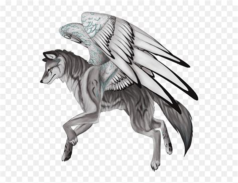 Wolf Wings Drawing Go Images Site