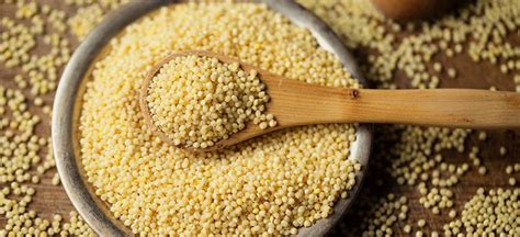 Nutritional Facts About Millets And Why We Should Consume Gluten Free